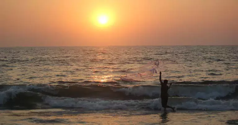 गोवा के बेहतरीन समुद्री तट