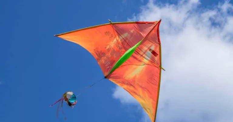 जयपुर का प्रसिद्ध पतंग उत्सव
