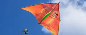 जयपुर का प्रसिद्ध पतंग उत्सव: मकर संक्रांति का जश्न